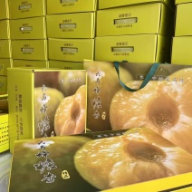 贵州镇宁六马蜂糖李大小规格齐全脱骨李子无擦伤疤痕熟度刚好