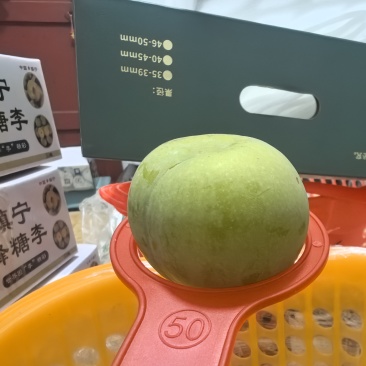 镇宁蜂糖李