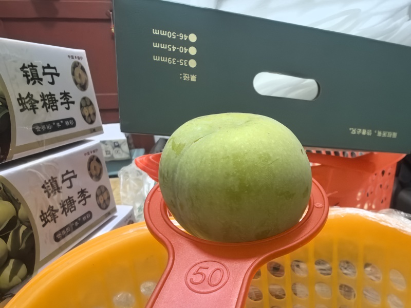 镇宁蜂糖李