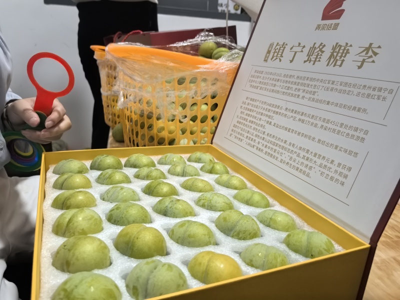 镇宁蜂糖李
