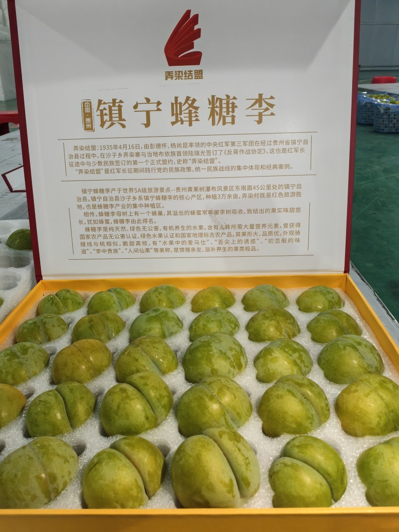 镇宁蜂糖李