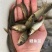 大小规格，各种品种鲤鱼，自养