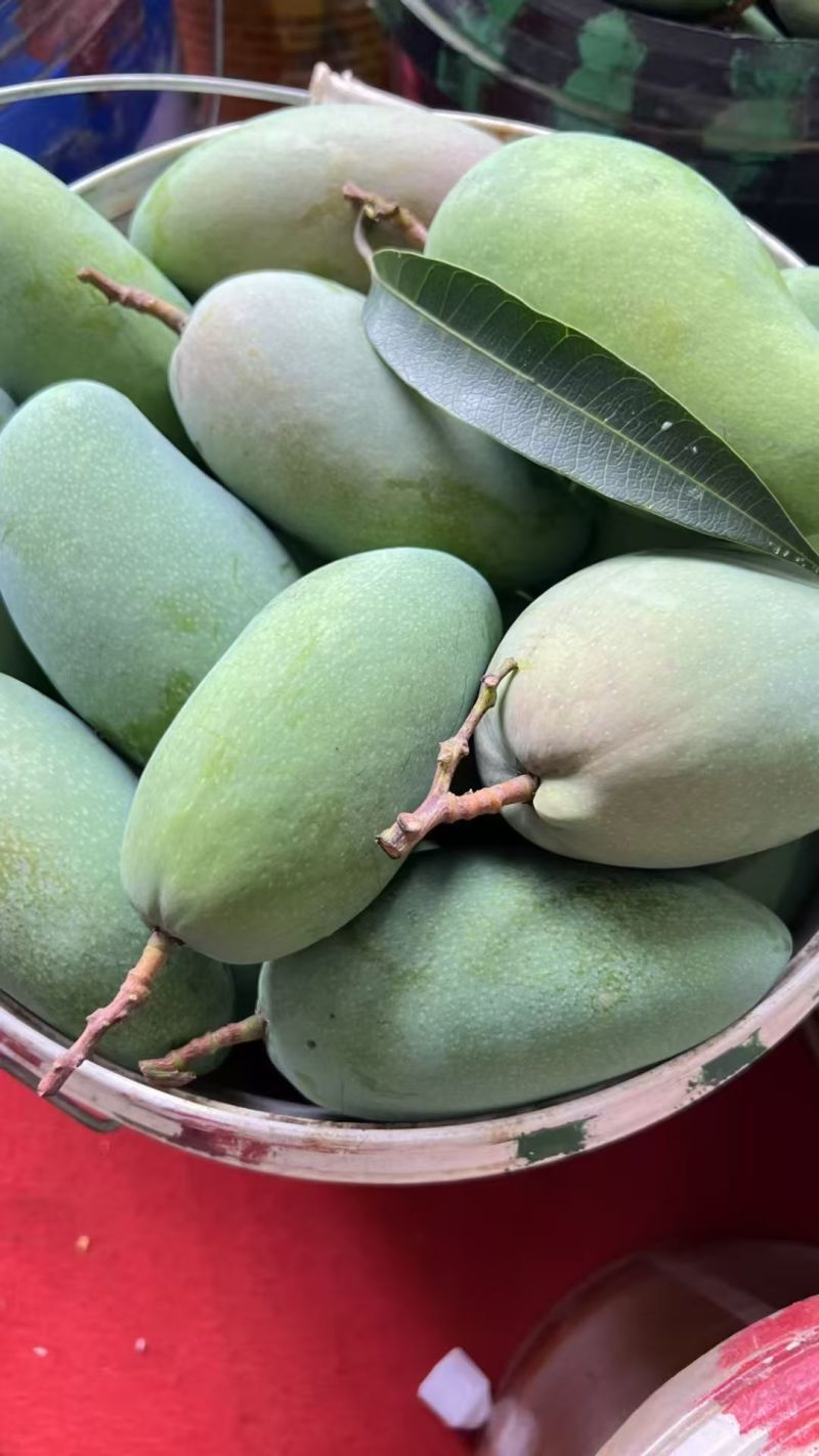 百色芒果