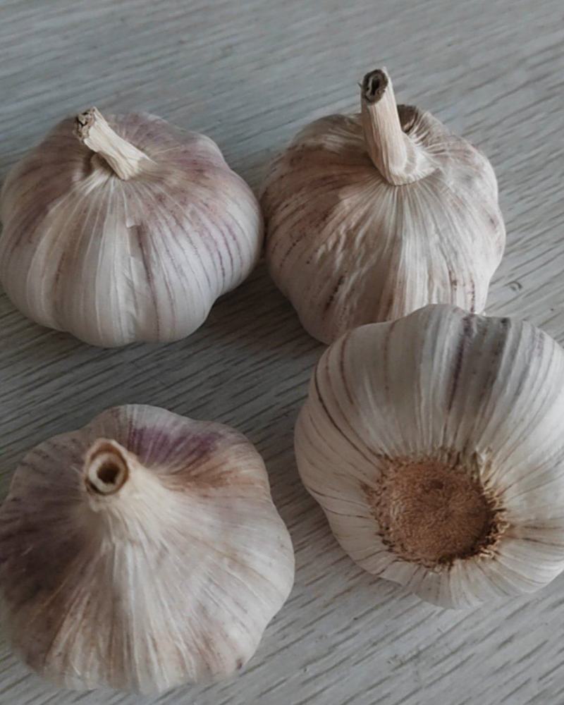 邳州精品大蒜
