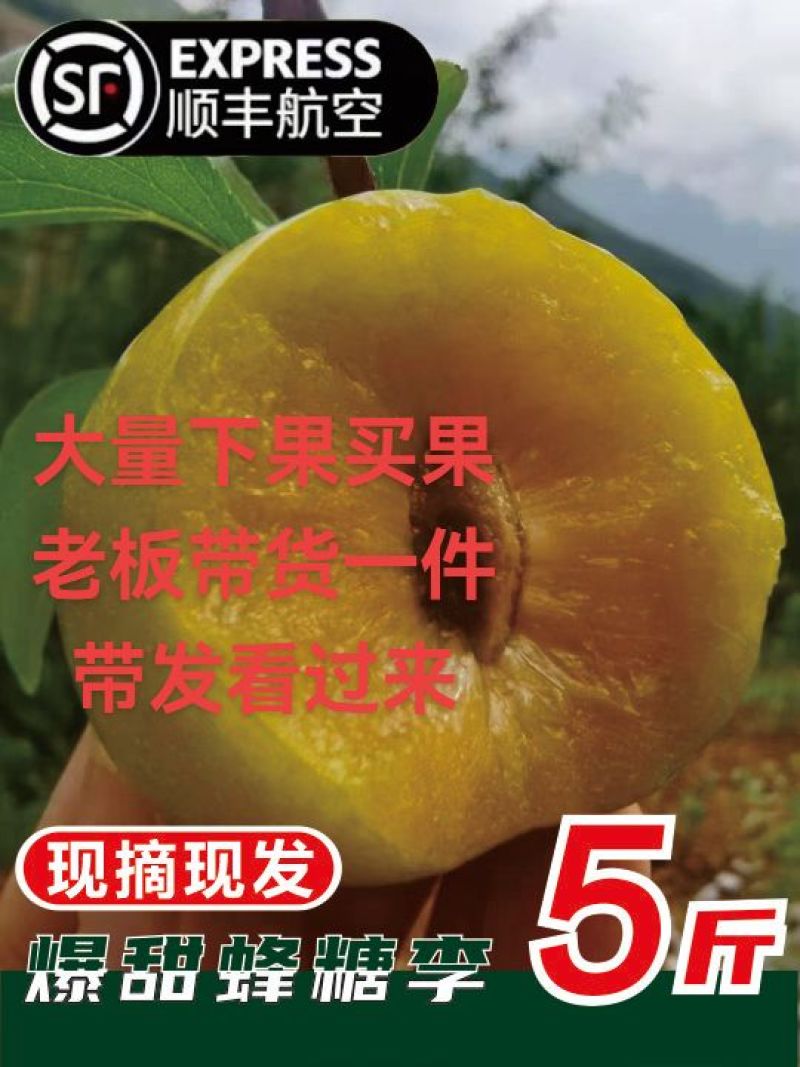 贵州六马蜂糖李产地直发供应链，一件代发，市场走量，电商供