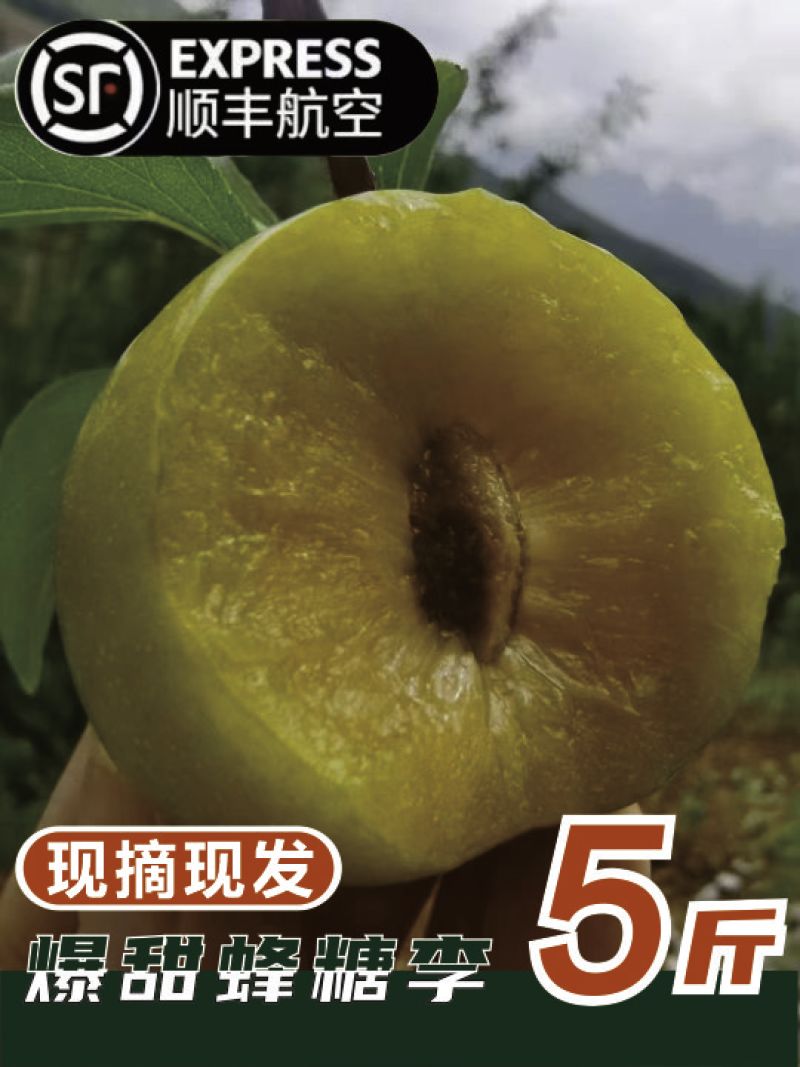贵州六马蜂糖李产地直发供应链，一件代发，市场走量，电商供