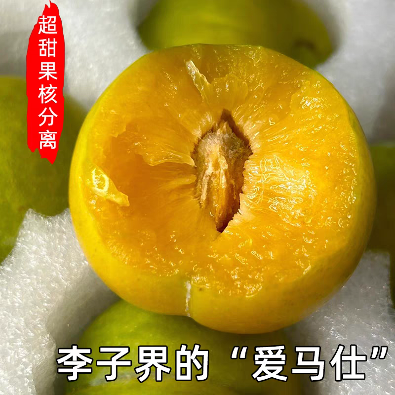 贵州六马蜂糖李产地直发供应链，一件代发，市场走量，电商供