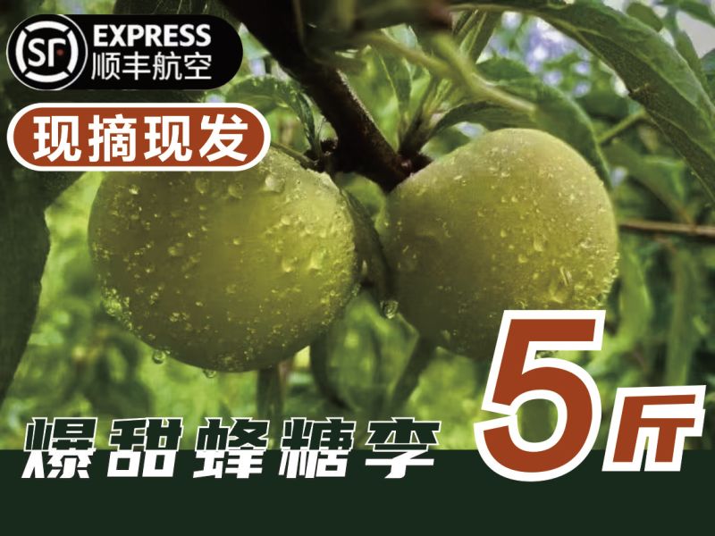 贵州六马蜂糖李产地直发供应链，一件代发，市场走量，电商供