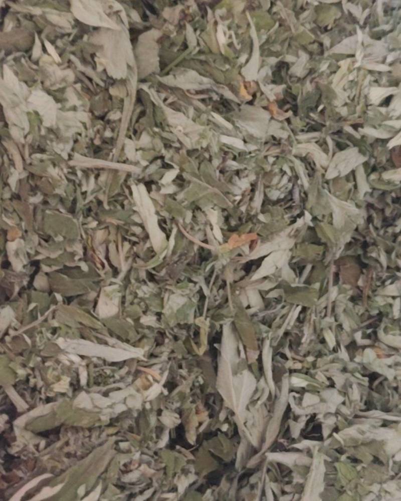 一艾草