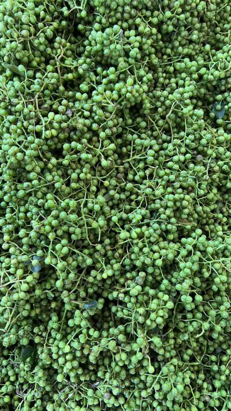 青花椒