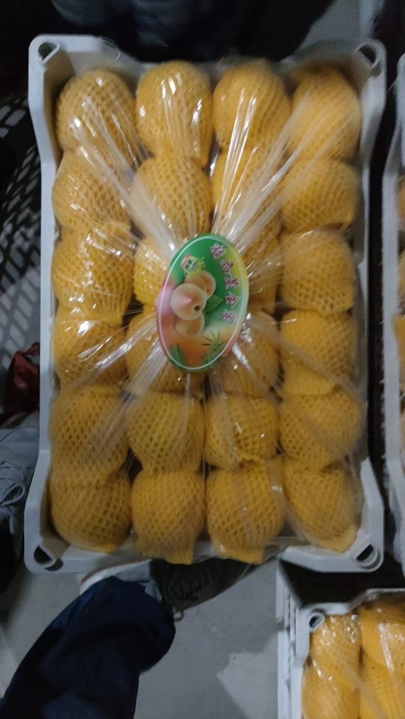 口感脆甜多汁