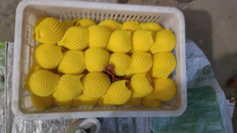 口感脆甜多汁