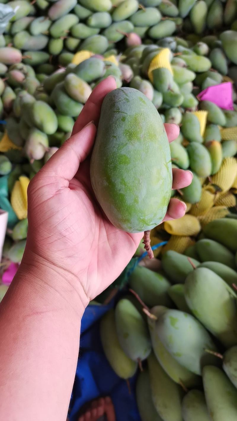 百色芒果