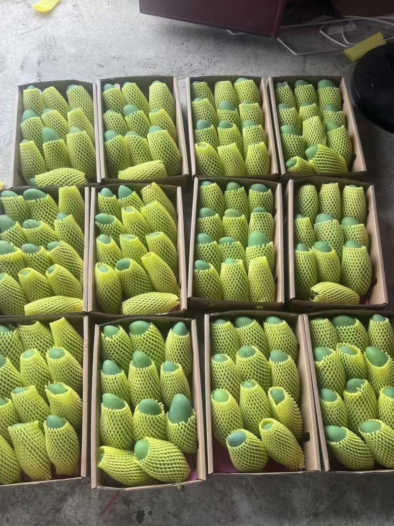 百色芒果