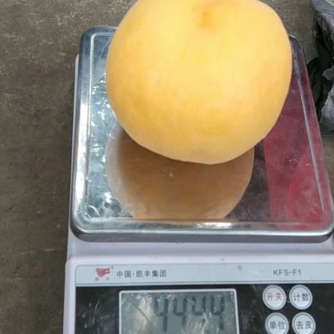脆甜多汁