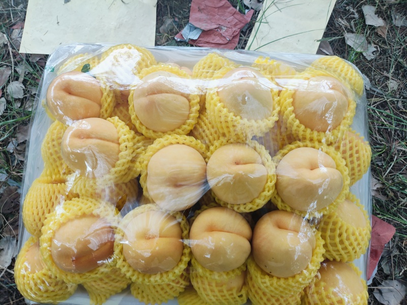 脆甜多汁