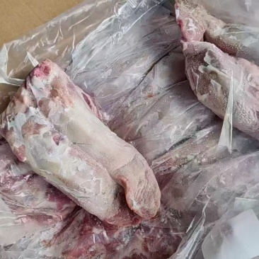 猪口条20个左右10吨