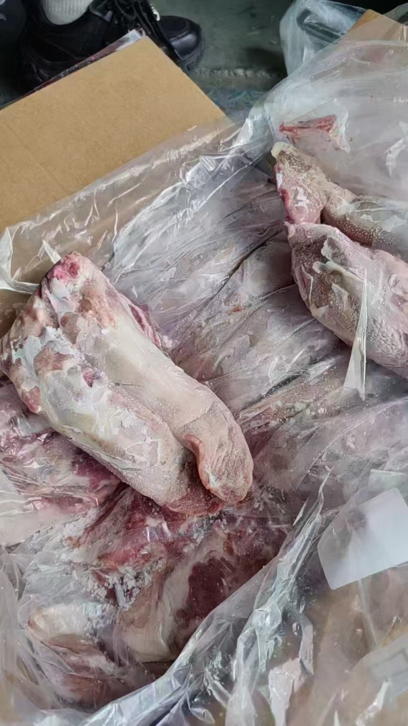 猪口条20个左右10吨