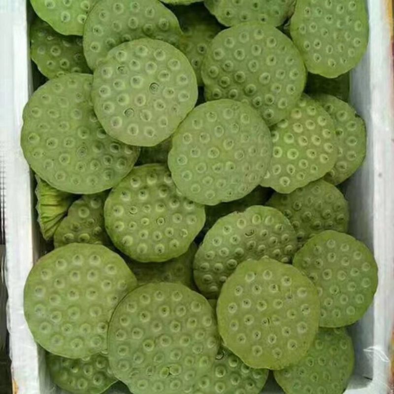 莲蓬