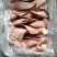 肉类产品