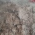 花生麸