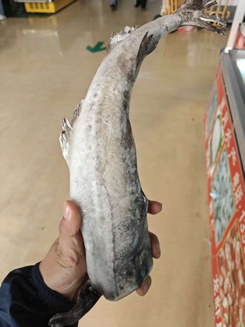 无头鳕鱼
