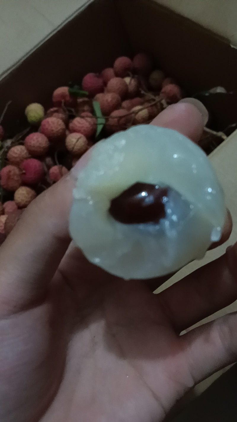 黑叶荔枝