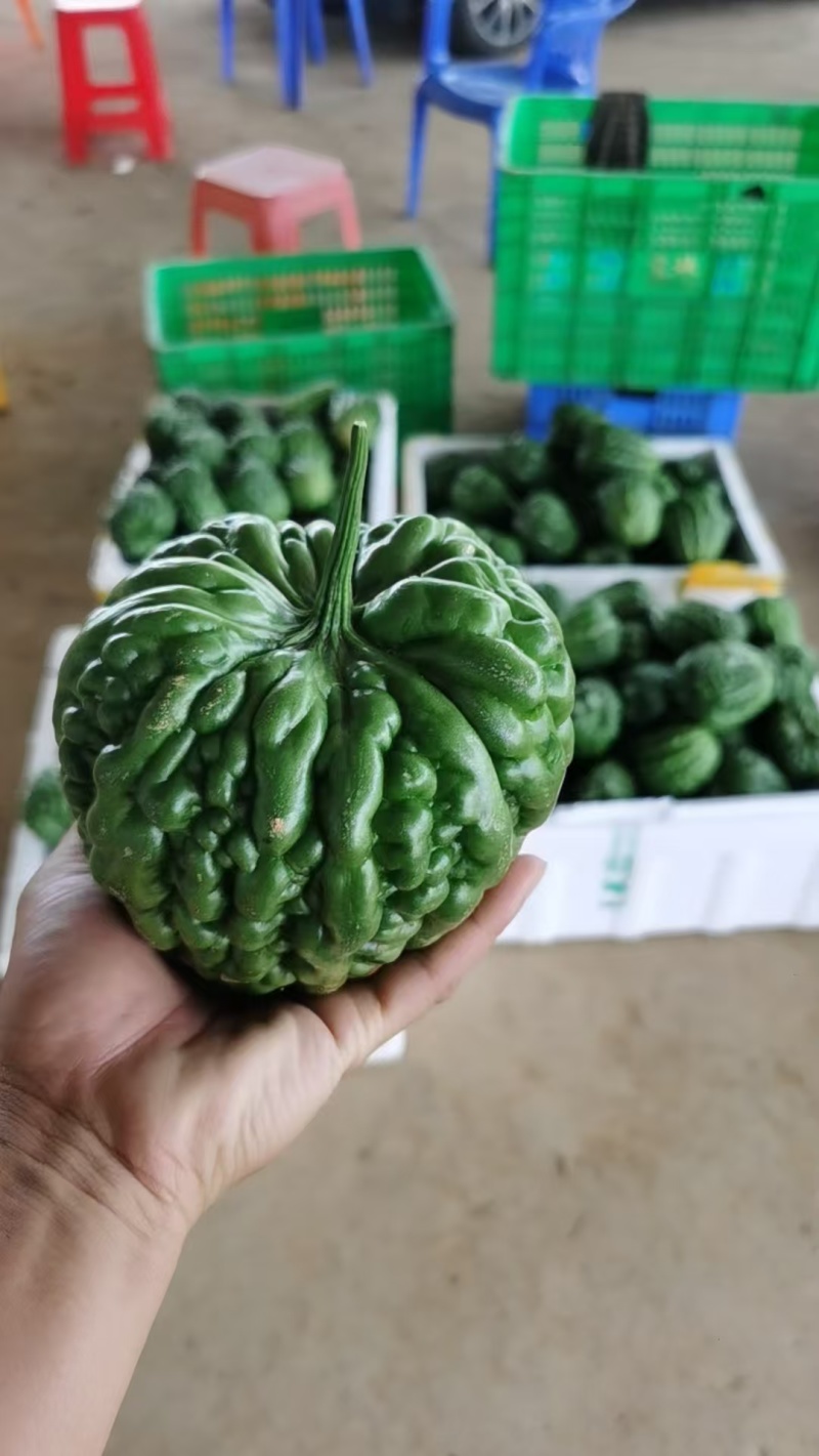 大顶苦瓜