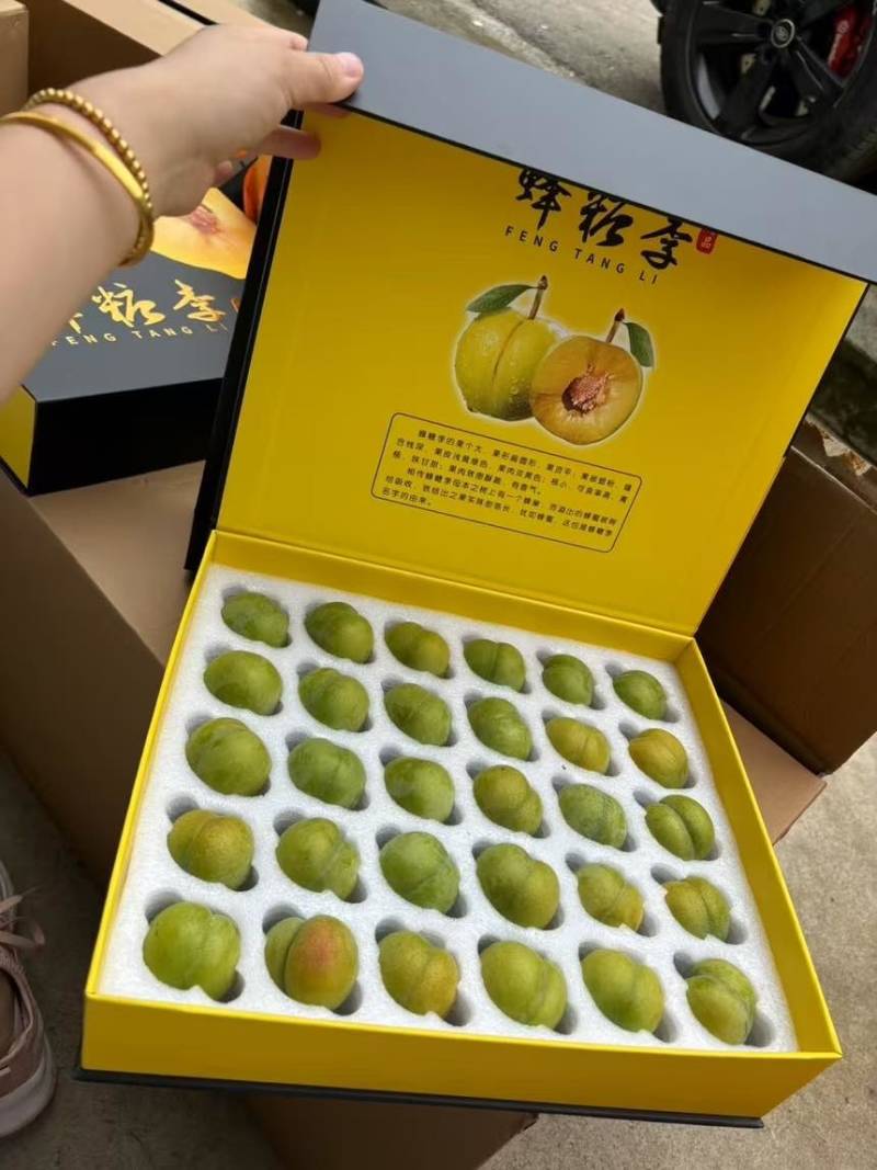 贵州蜂糖李