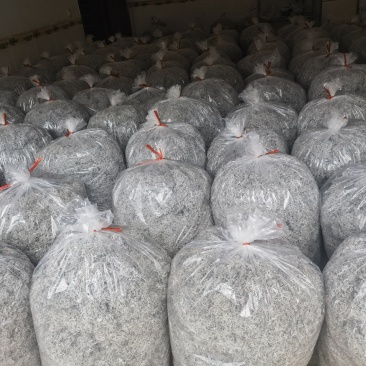 张家界莓茶，网红款
