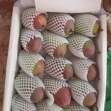 品质铸就辉煌，诚信共赢天下