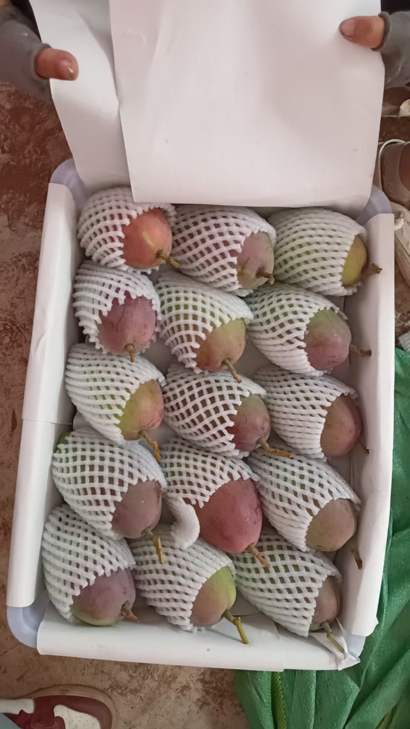 品质铸就辉煌，诚信共赢天下