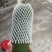 丝瓜