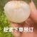 广西玉林鸡嘴荔枝广西玉林鸡嘴荔枝