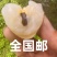 广西玉林鸡嘴荔枝广西玉林鸡嘴荔枝
