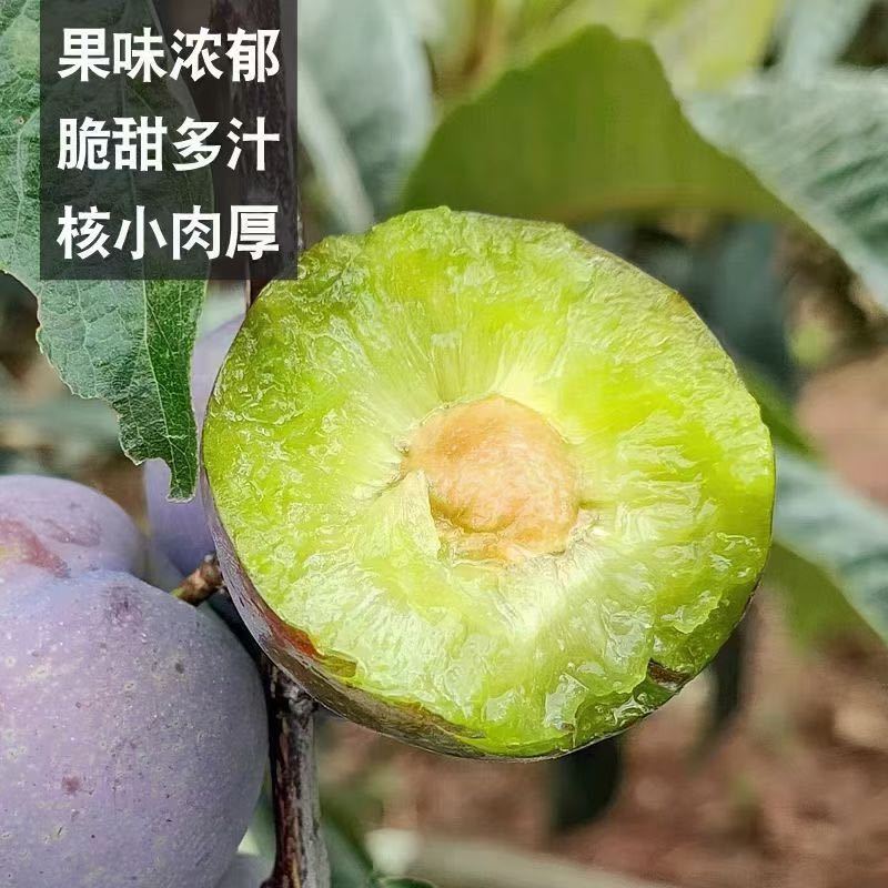 口感很好