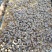 野生蜂蜜