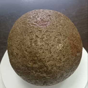 马宝。