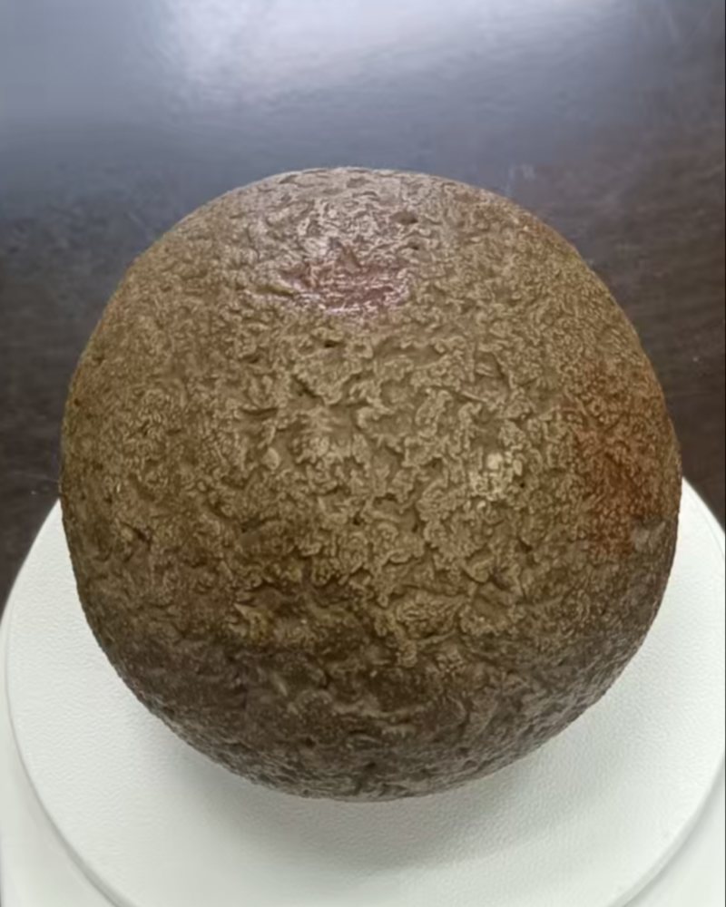 马宝。