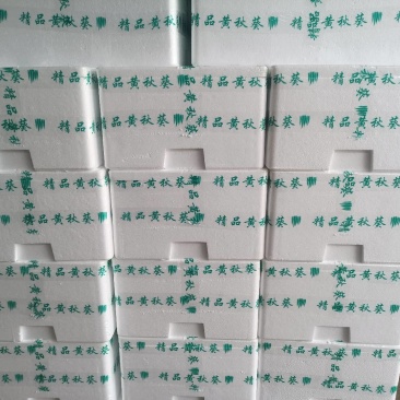 福建省龙海区水果秋葵