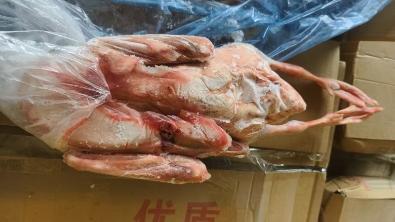 二级仔鹅十吨67只装