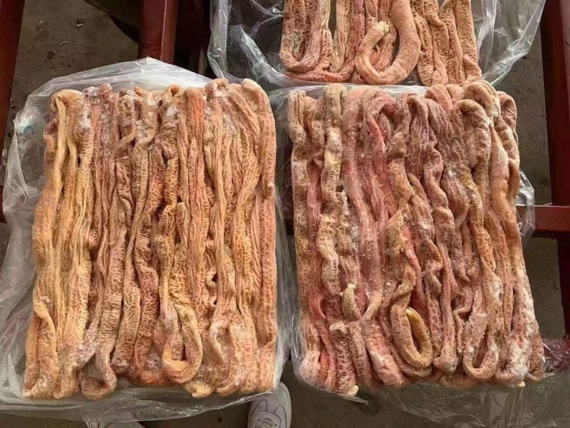 肥猪熟小肠山东20吨