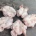 黑毛猪头8_10一级干净除了是黑毛猪别的没毛病