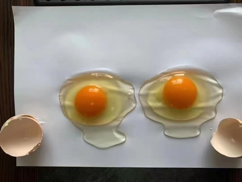 鸡蛋批发