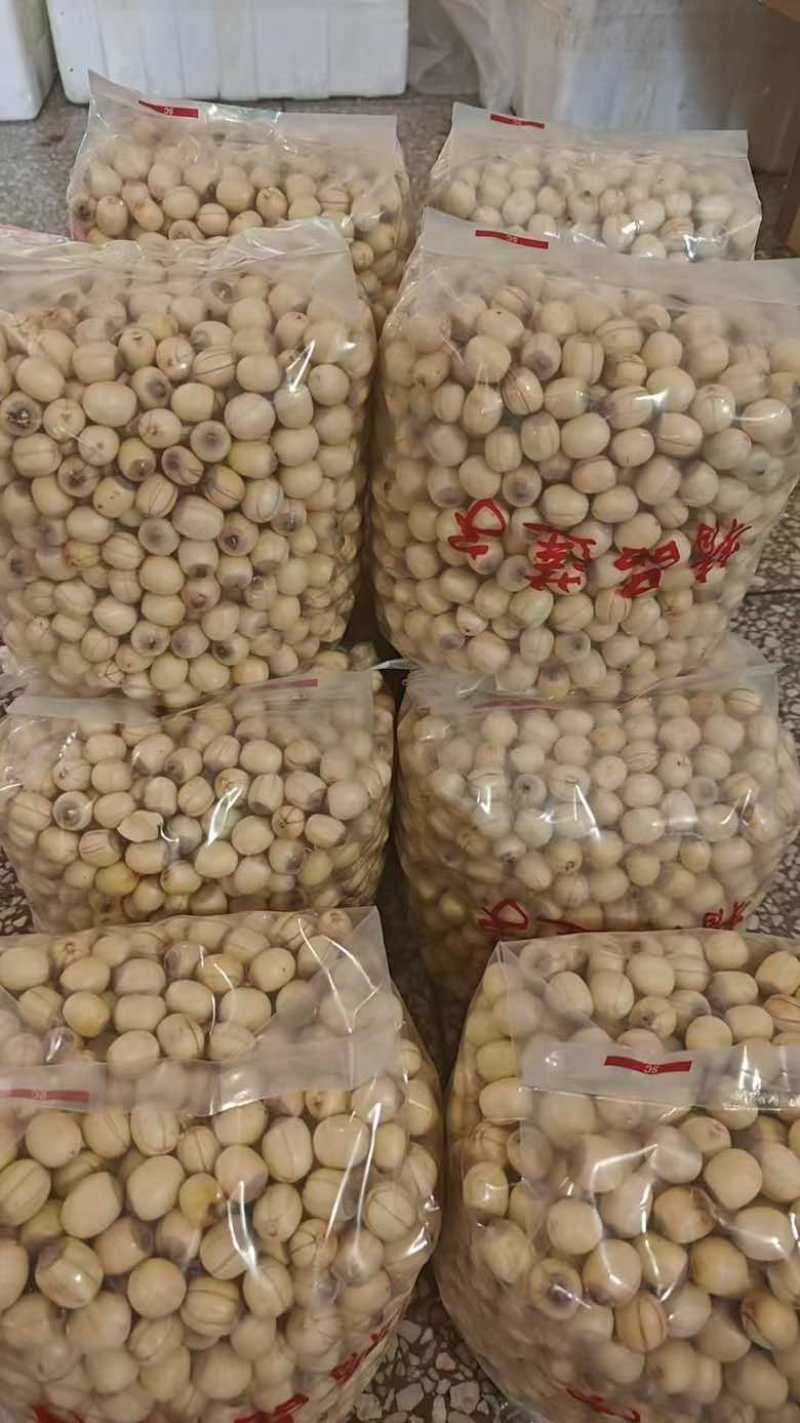 手工红莲