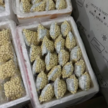 手工红莲