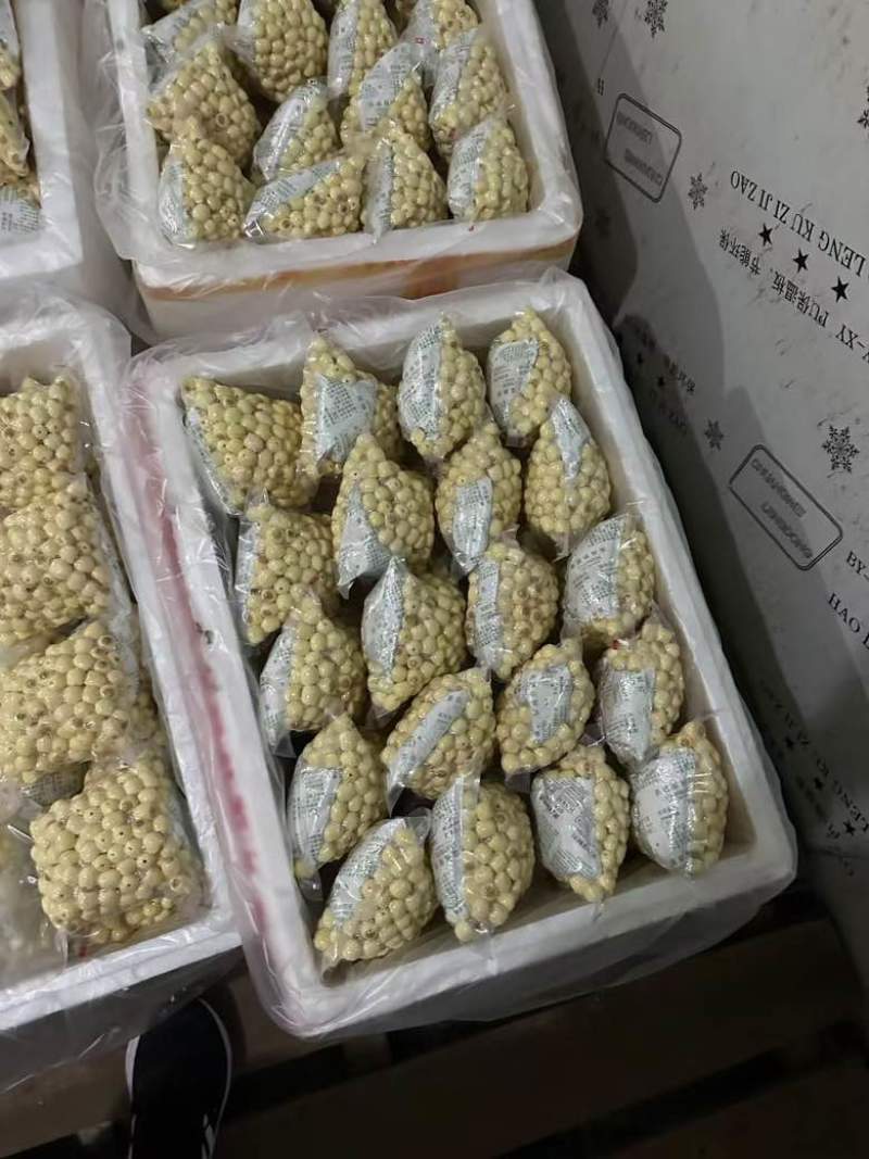 手工红莲