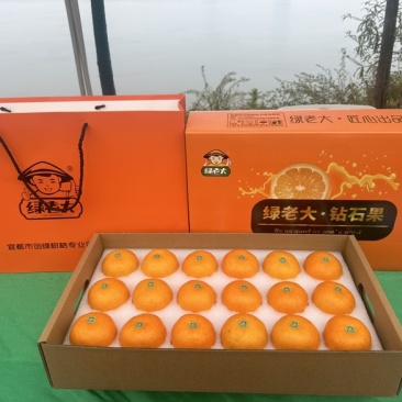 宜昌蜜桔宜都蜜柑