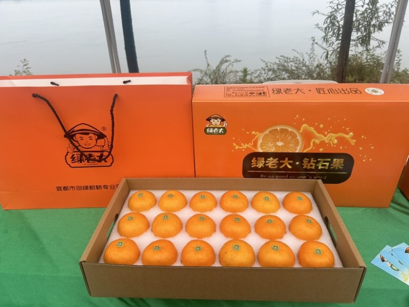 宜昌蜜桔宜都蜜柑