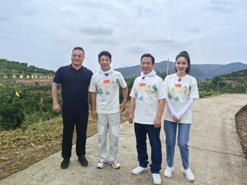 宜昌蜜桔宜都蜜柑